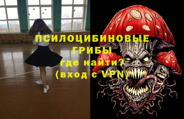 PSILOCYBIN Абинск