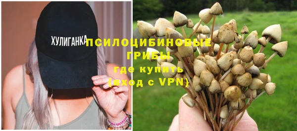 PSILOCYBIN Абинск