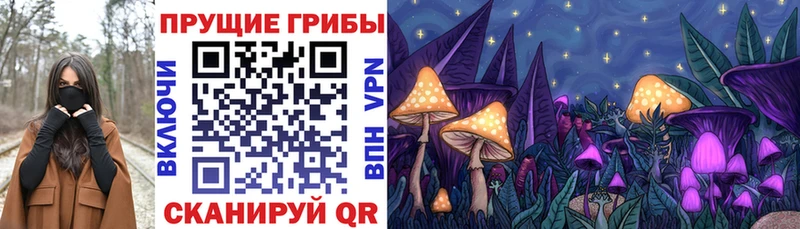 Псилоцибиновые грибы Cubensis Лосино-Петровский